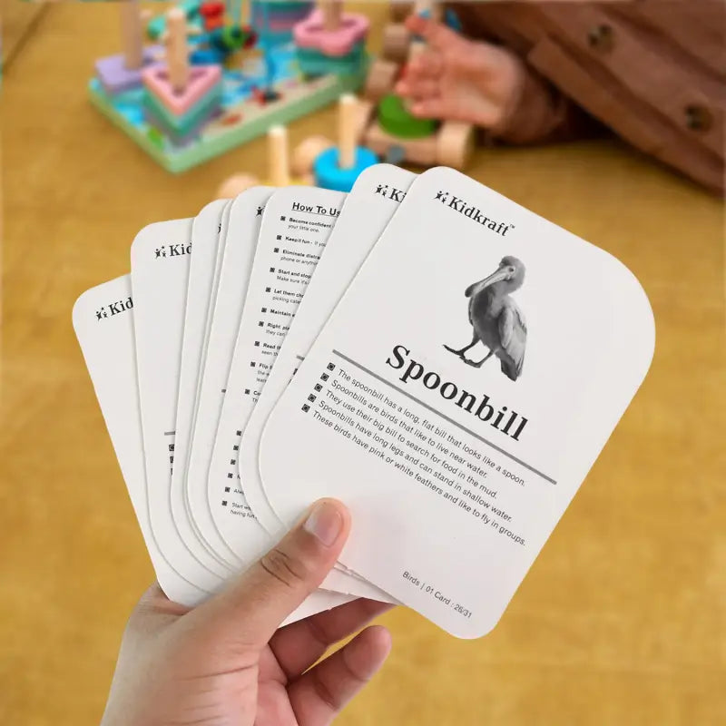 KidKraft Early Learner Bird Identification Flashcards
