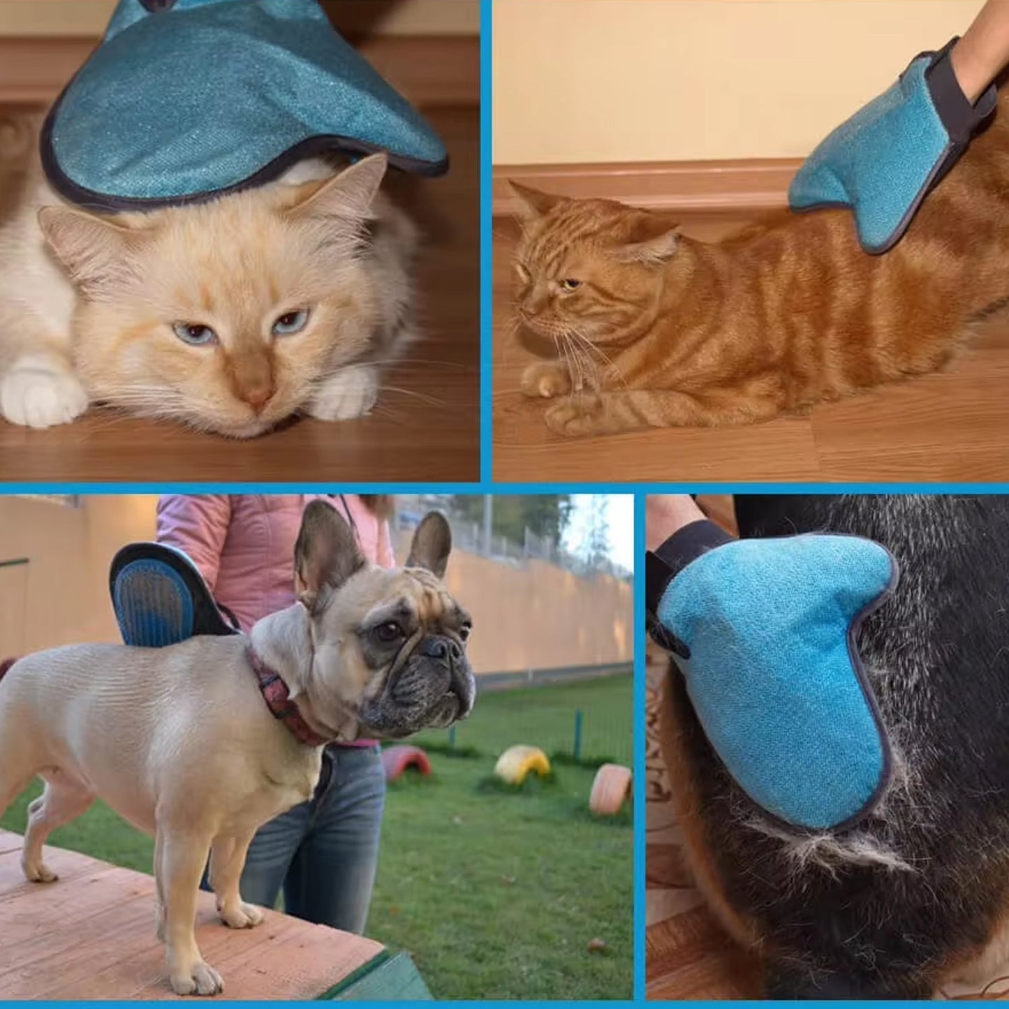 Pet Grooming Deshedding Glove — Dogs & Cats (1 Pc)